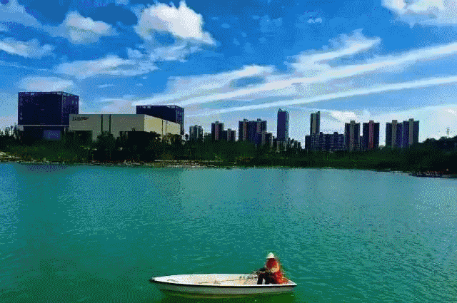 7.gif