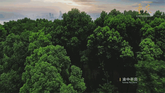 5.gif
