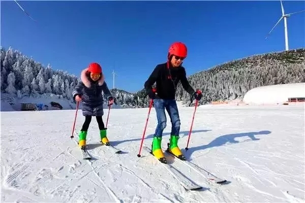 281315129985.jpg