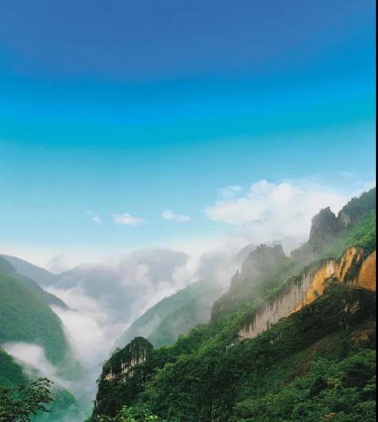 微信图片_20210611143713